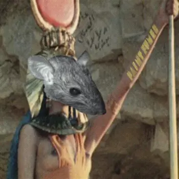7-egyptian Rats