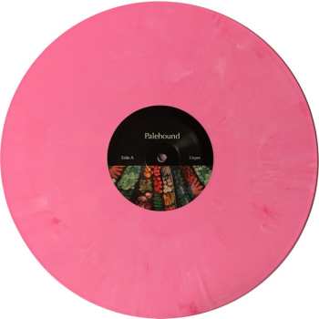 LP Palehound: A Place I'll Always Go CLR