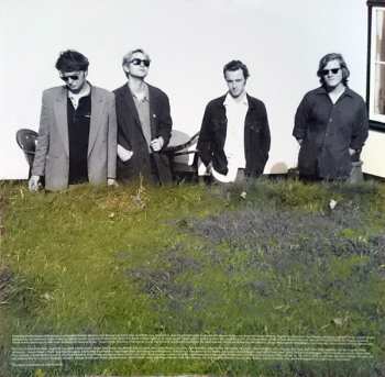 LP Palma Violets: Danger In The Club