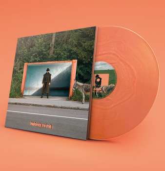 Album Pam Pam Ida: Nehmts Mi Mit