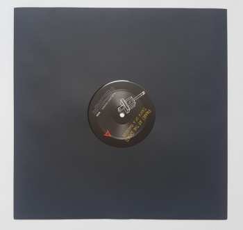 LP Panic! At The Disco: Death Of A Bachelor