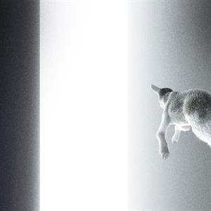 Album Panoram: Keep Looking Where The Light Comes From