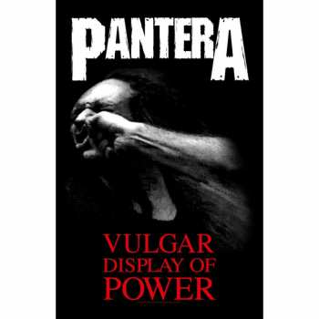 Merch Pantera: Textile Poster Vulgar Display Of Power