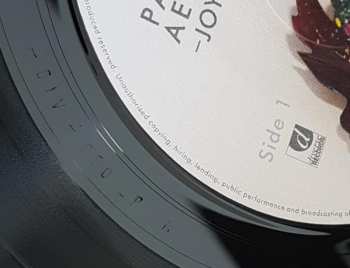 LP Paper Aeroplanes: Joy