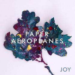 LP Paper Aeroplanes: Joy