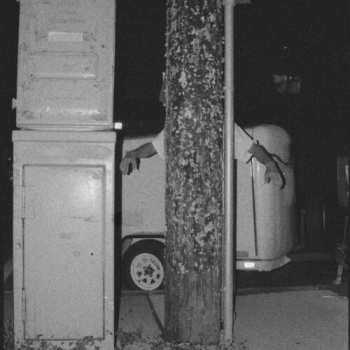 CD Paper Tiger: All Over The Place