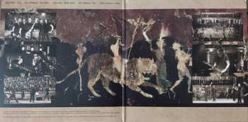 2LP Paradise Lost: Symphony For The Lost LTD | PIC