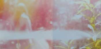 CD Passion Pit: Gossamer