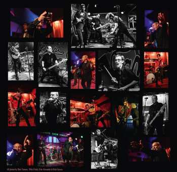 LP Pat Todd & The Rankoutsiders: "…There's Pretty Things In Palookaville…"