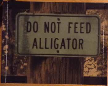 CD Pat Travers: Don't Feed The Alligators