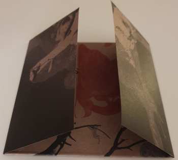 CD Patrick Park: Everyone's In Everyone DIGI