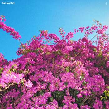 Album Pau Vallvé: : )