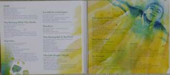CD Paul Armfield: Up-Here