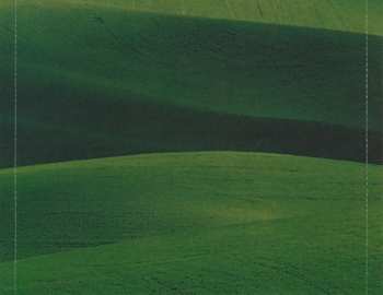 CD Paula Cole: This Fire