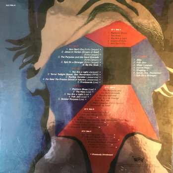 4LP/Box Set Pavement: Terror Twilight: Farewell Horizontal LTD