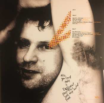4LP/Box Set Pavement: Terror Twilight: Farewell Horizontal LTD