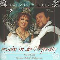Album Pavla Břínková: Liebe In Der Operette