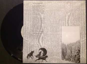 LP Paysage D'Hiver: Schattengang