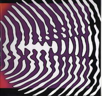 LP Pearl Jam: Backspacer