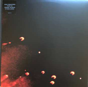 2LP Pearl Jam: Binaural