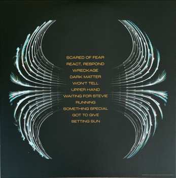 LP Pearl Jam: Dark Matter CLR | LTD