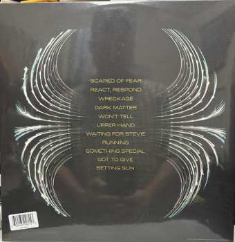 LP Pearl Jam: Dark Matter CLR | LTD