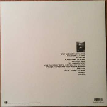 LP Pedro The Lion: It's Hard To Find A Friend