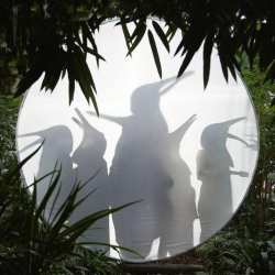 LP Penguin Cafe: Rain Before Seven... CLR | LTD