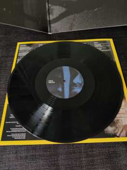 LP Penny & Sparrow: Finch