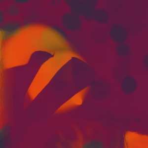 LP Perfect Body/zac White: Fields/spent On You