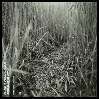 Charlie Cunningham: Permanent Way