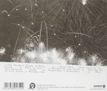 CD Pernice Brothers: Yours, Mine & Ours