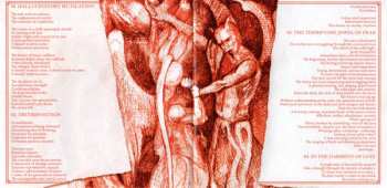 CD Perversity: In The Garment Of Lust LTD