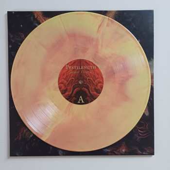 LP Pestilength: Solar Clorex CLR | LTD