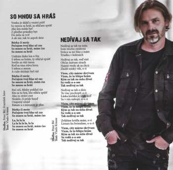 CD Peter Bič Project: Labyrint