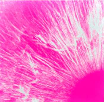 4LP/2CD/Box Set/Blu-ray Peter Gabriel: I/O DLX | LTD