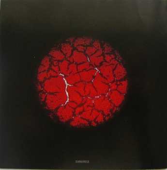 CD Peter Gabriel: Scratch My Back