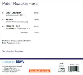 CD Deutsches Symphonie-Orchester Berlin: Orchestra Works - Vol. 2