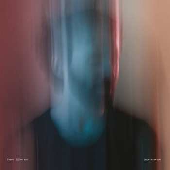 LP Peter Silberman: Impermanence