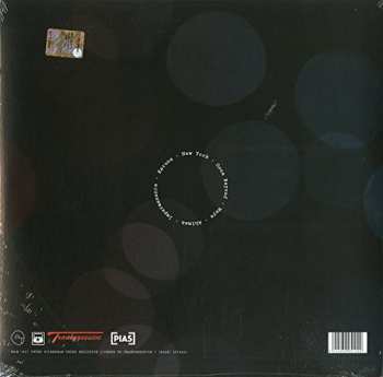 LP Peter Silberman: Impermanence