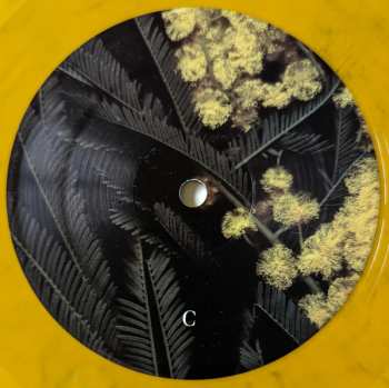 2LP Phantogram: Eyelid Movies CLR | DLX | LTD