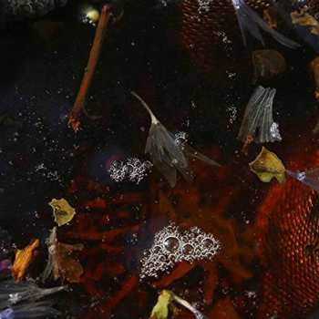 CD Philippe Petit & Friends: On Top