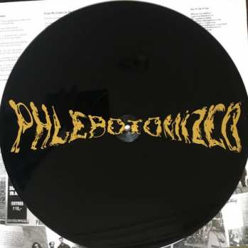 2LP Phlebotomized: Skycontact