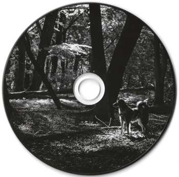 CD Pierre Vervloesem: Lotta Boom Boom