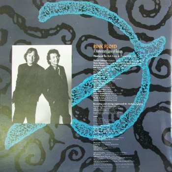 LP Pink Floyd: A Momentary Lapse Of Reason