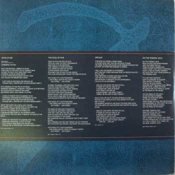 LP Pink Floyd: A Momentary Lapse Of Reason