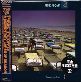 CD Pink Floyd: A Momentary Lapse Of Reason LTD | DIGI