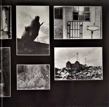 LP Pink Floyd: Animals