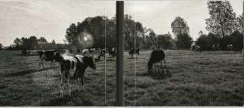 CD Pink Floyd: Atom Heart Mother