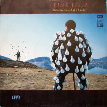2LP Pink Floyd: Delicate Sound Of Thunder